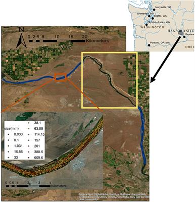 Spatial Mapping of Riverbed Grain-Size Distribution Using Machine Learning